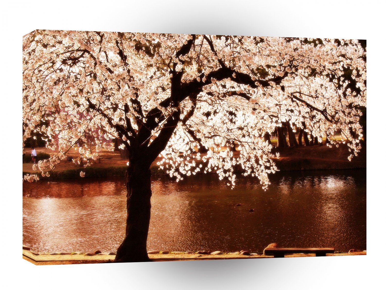 Nature Trees White Night A1 XLarge Canvas