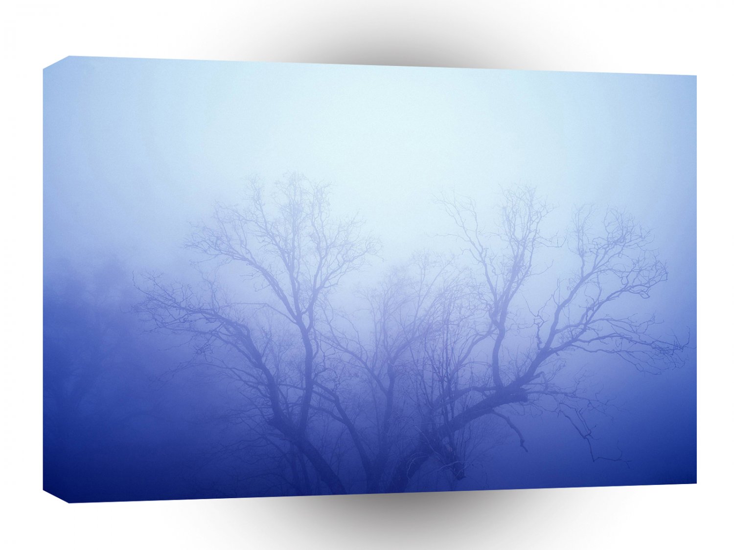 Nature Trees Winter Blue A1 XLarge Canvas