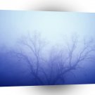 Nature Trees Winter Blue A1 XLarge Canvas