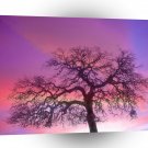 Nature Trees Winter Purple A1 XLarge Canvas