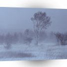 Nature Winter Artic Times A1 XLarge Canvas