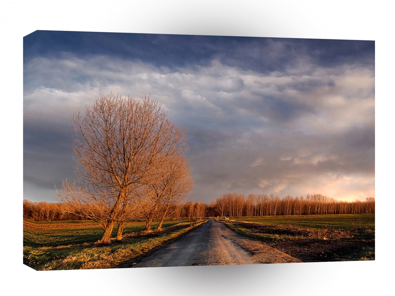 Nature Winter Dusky Daytime A1 XLarge Canvas