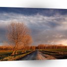 Nature Winter Dusky Daytime A1 XLarge Canvas