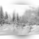 Nature Winter Frozen View A1 XLarge Canvas