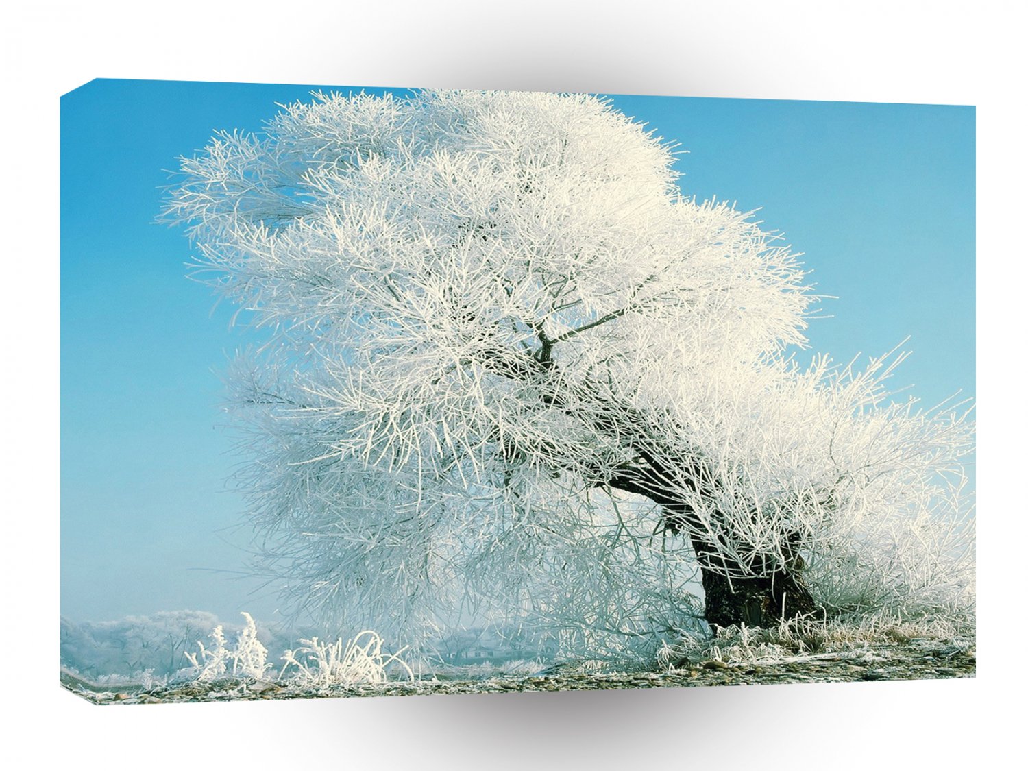 Nature Winter Ice Tree A1 XLarge Canvas