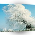 Nature Winter Ice Tree A1 XLarge Canvas
