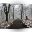 Nature Winter Quiet Parkland A1 XLarge Canvas