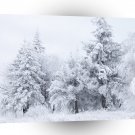 Nature Winter Snowy Firs A1 XLarge Canvas