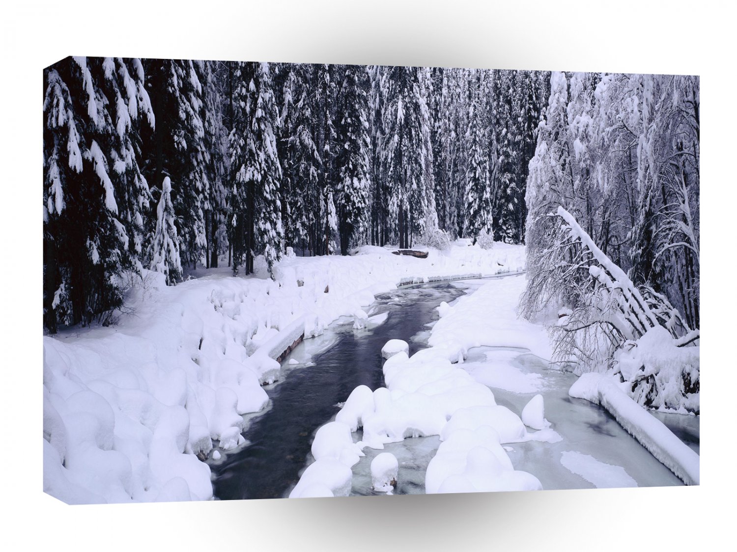Nature Winter Snowy River A1 XLarge Canvas