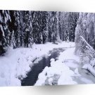 Nature Winter Snowy River A1 XLarge Canvas
