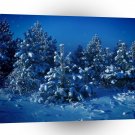 Nature Winter Star Tree A1 XLarge Canvas