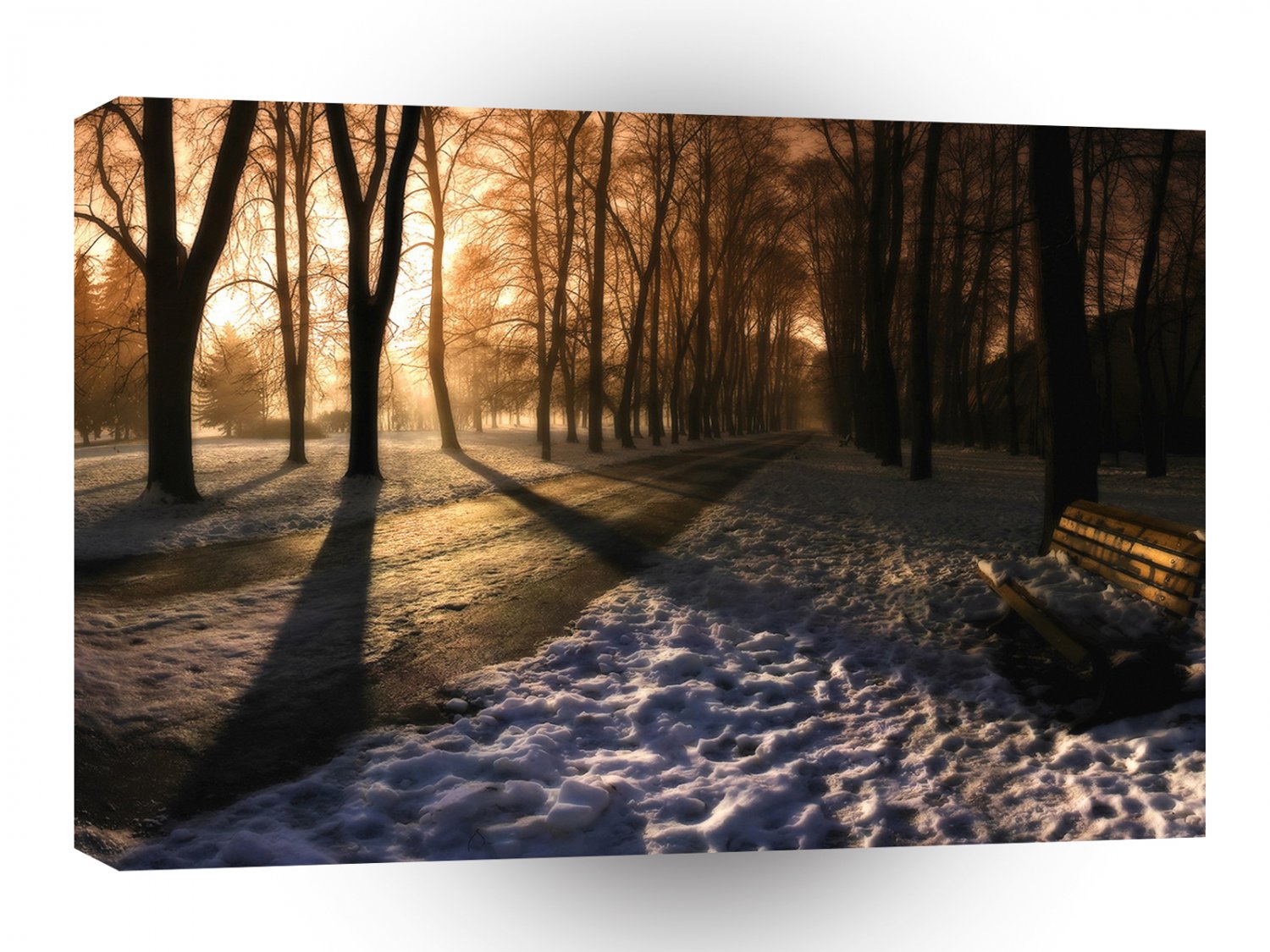 Nature Winter Sunset Trees A1 XLarge Canvas