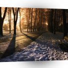 Nature Winter Sunset Trees A1 XLarge Canvas