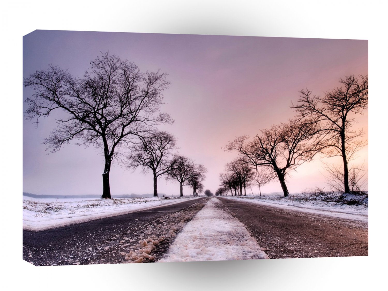 Nature Winter Tree Road A1 XLarge Canvas