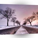 Nature Winter Tree Road A1 XLarge Canvas