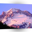 Park Alpenglow On Theof Hood Oregon A1 XLarge Canvas