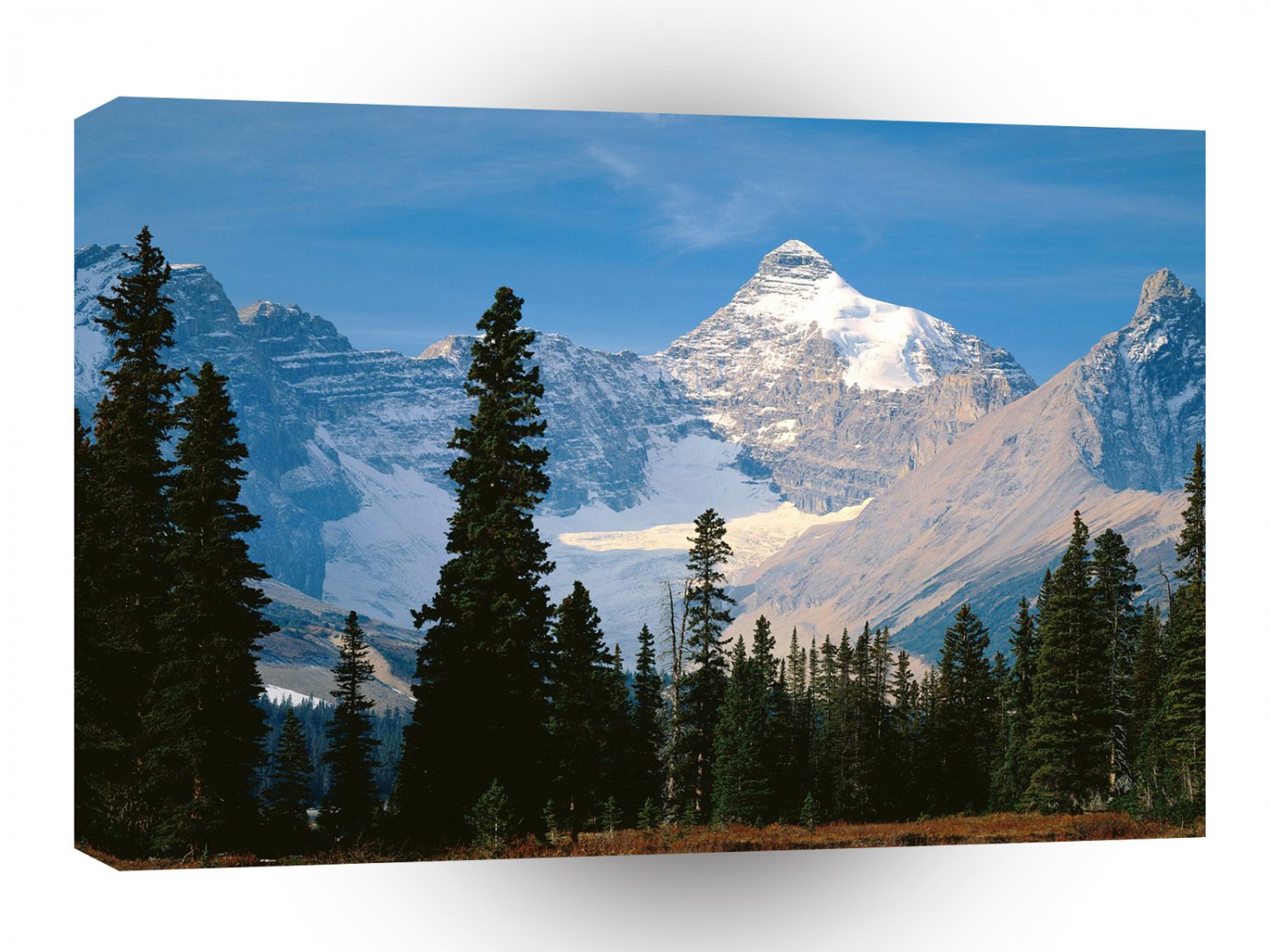 Park Athabasca Jasper Alberta A1 XLarge Canvas