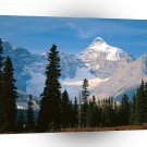 Park Athabasca Jasper Alberta A1 XLarge Canvas