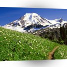 Park Baker Snoqualmie Forest A1 XLarge Canvas