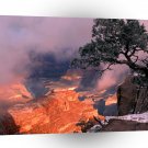 Park Clearing Winter Storm Grand Canyon A1 XLarge Canvas