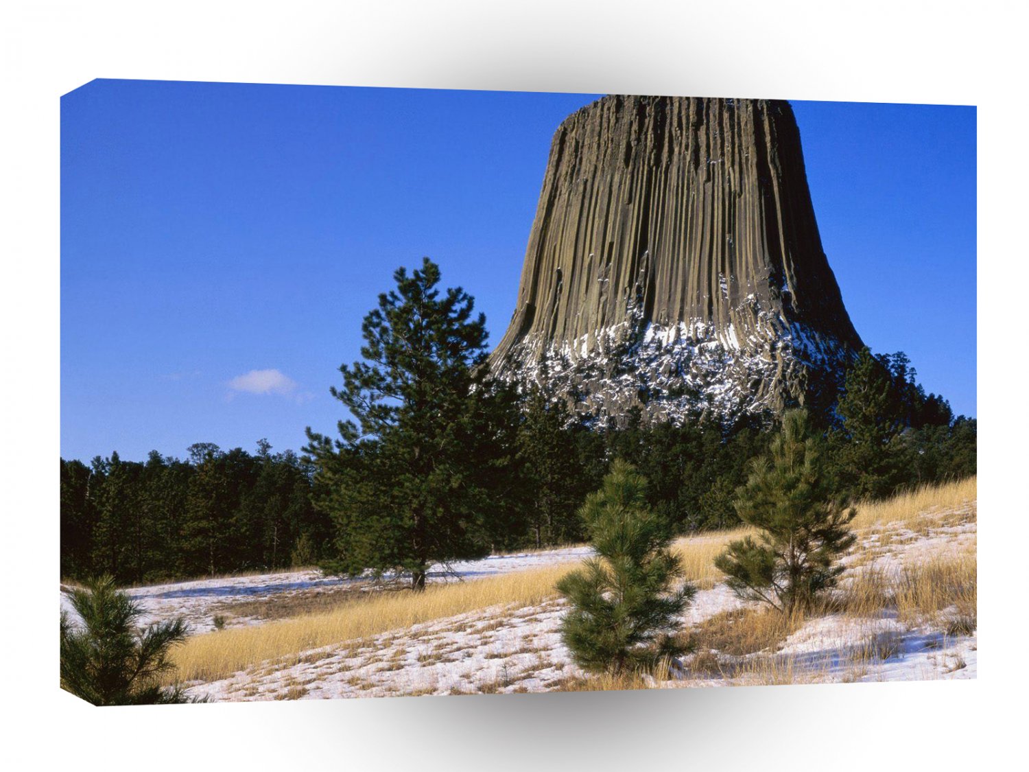 Park Devils Tower Monument Wyoming A1 XLarge Canvas