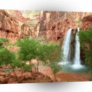 Park Dreamland Havasu Falls Grand Canyon A1 XLarge Canvas
