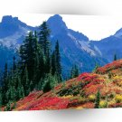 Park Fall Spectrum Tatoosh Range Rainier A1 XLarge Canvas