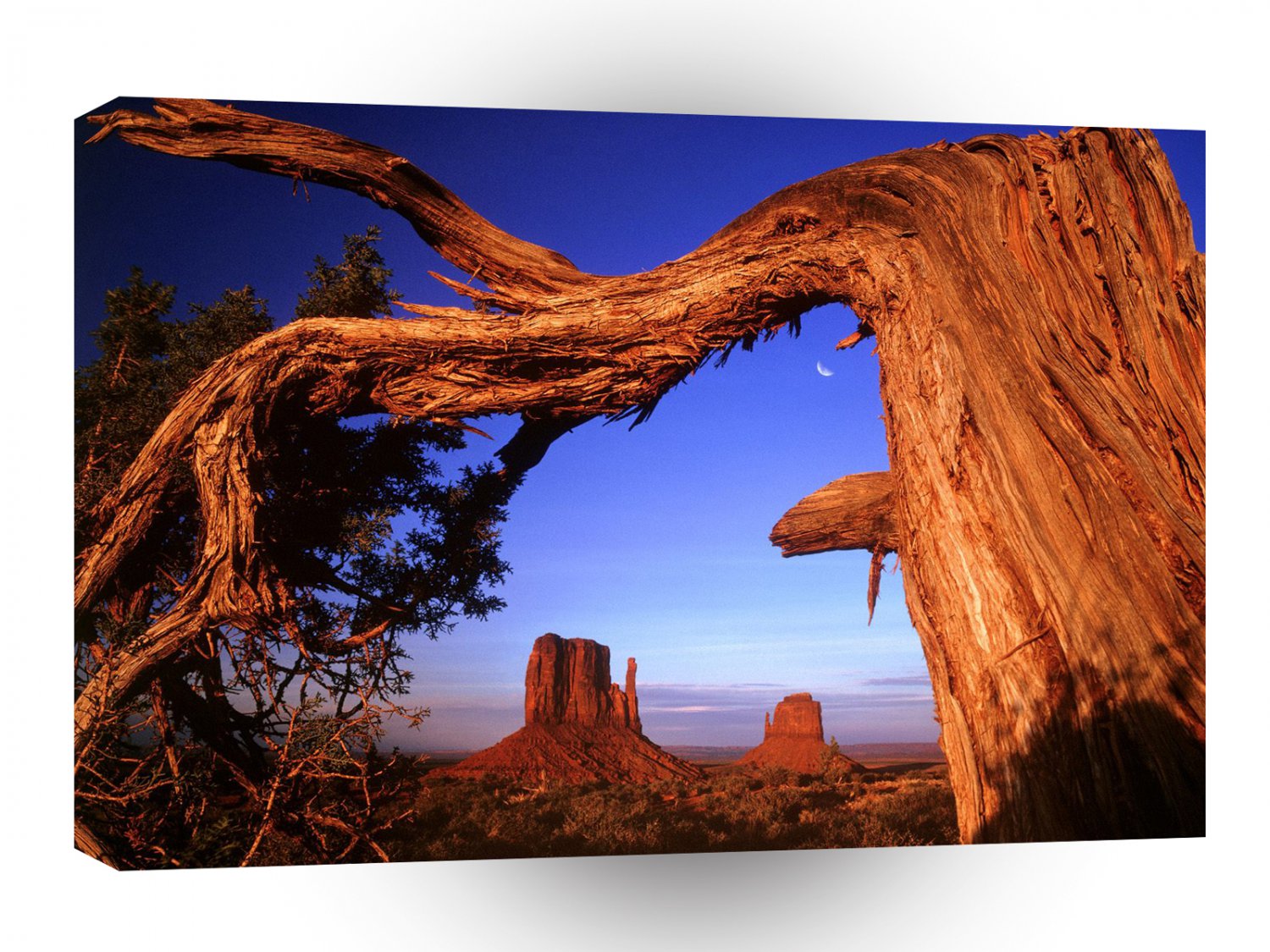 Park Fallen Monument Valley A1 XLarge Canvas