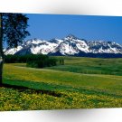 Park Full Bloom San Juan Ains Colorado A1 XLarge Canvas