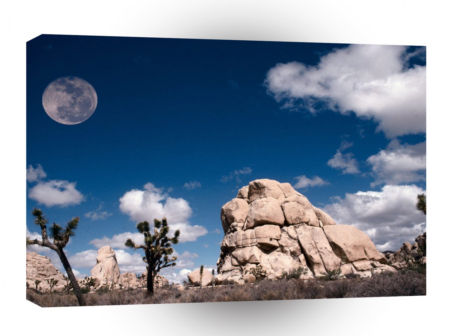 Park Full Moon At Joshua Tree California A1 XLarge Canvas