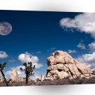 Park Full Moon At Joshua Tree California A1 XLarge Canvas