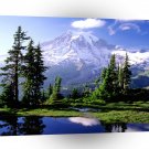Park Hidden Lake In Rainier A1 XLarge Canvas