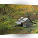 Park Homestead Cabin Ains Tennessee A1 XLarge Canvas