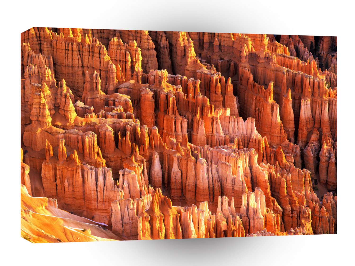 Park Hoodoos Formations Bryce Canyon Utah A1 XLarge Canvas