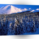 Park Kenai Ains Canyon Creek Alaska A1 XLarge Canvas