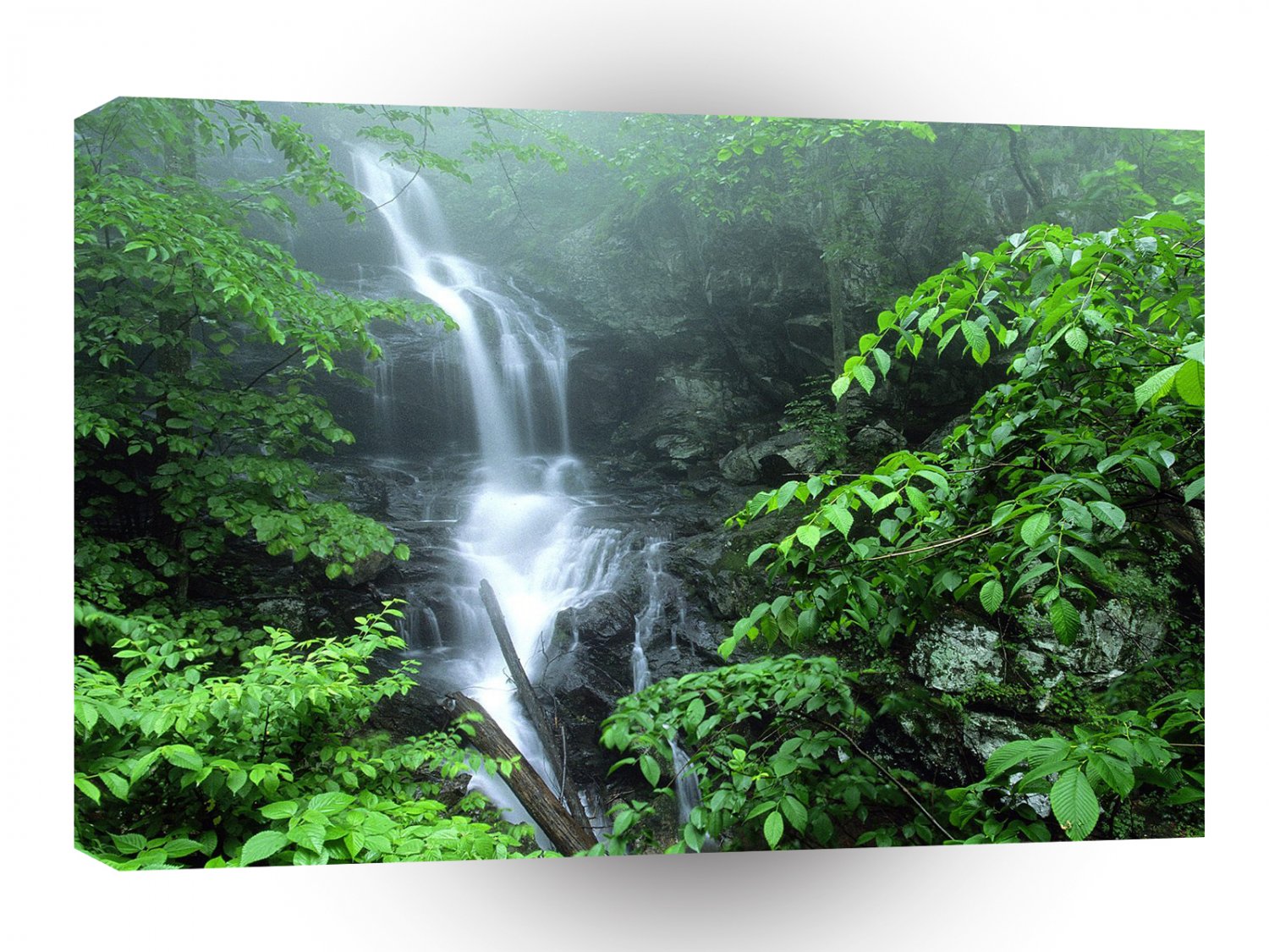Park Lower Doyles River Falls Shenandoah Virginia A1 XLarge Canvas