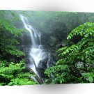 Park Lower Doyles River Falls Shenandoah Virginia A1 XLarge Canvas