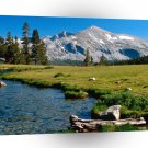 Park Mammoth Peak Yosemite California A1 XLarge Canvas