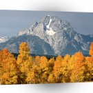 Park Moran In Autumn Wyoming A1 XLarge Canvas