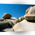 Park Natures Canvas Joshua Tree California A1 XLarge Canvas