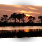 Park Outer Banks Roanoke Sound Carolina A1 XLarge Canvas