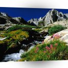 Park Peak Sierra Nevada California A1 XLarge Canvas