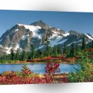 Park Perfect Snoqualmie Forest A1 XLarge Canvas