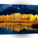 Park Quaking Aspen Moran Grand Tetons Wyoming A1 XLarge Canvas