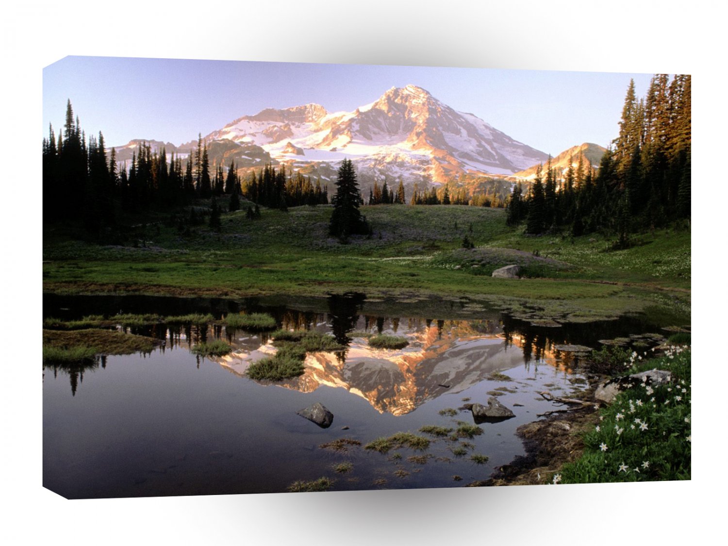 Park Rainier A1 XLarge Canvas