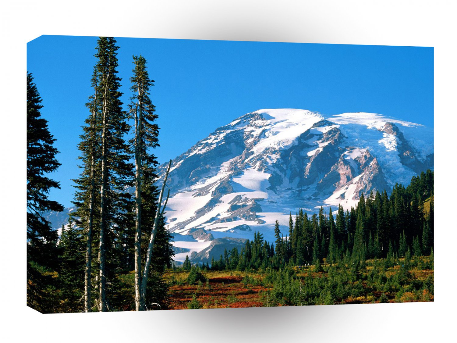Park Rainier Rainier A1 XLarge Canvas
