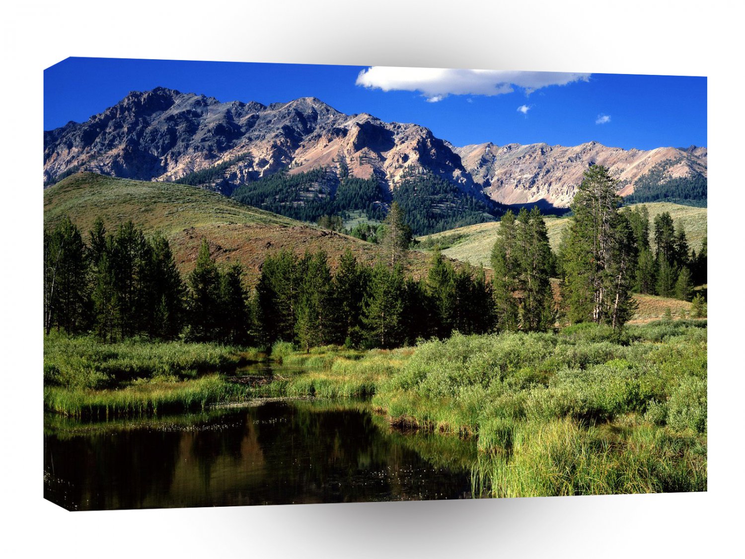 Park Reflections In Beaver Pond Boulder Ains Idaho A1 XLarge Canvas