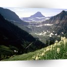 Park Reynolds Glacier Montana A1 XLarge Canvas