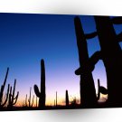 Park Saguaro A1 XLarge Canvas
