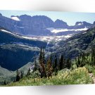 Park Salamander Glacier Glacier Montana A1 XLarge Canvas